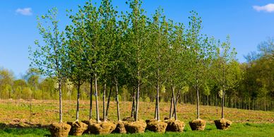 Patio Builder, Retaining Wall, Artificial Turf, Water Feature, Landscape Designer  in Farmington, NM