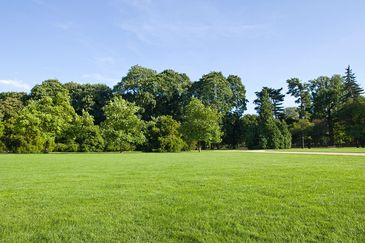 A vast green lawn bordered by various trees under a clear blue sky.