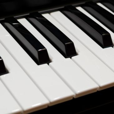 Close-up of piano keys.