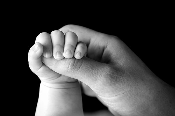 Baby hand holding adult finger in black and white.