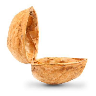 Opened walnut shell isolated on white background.
