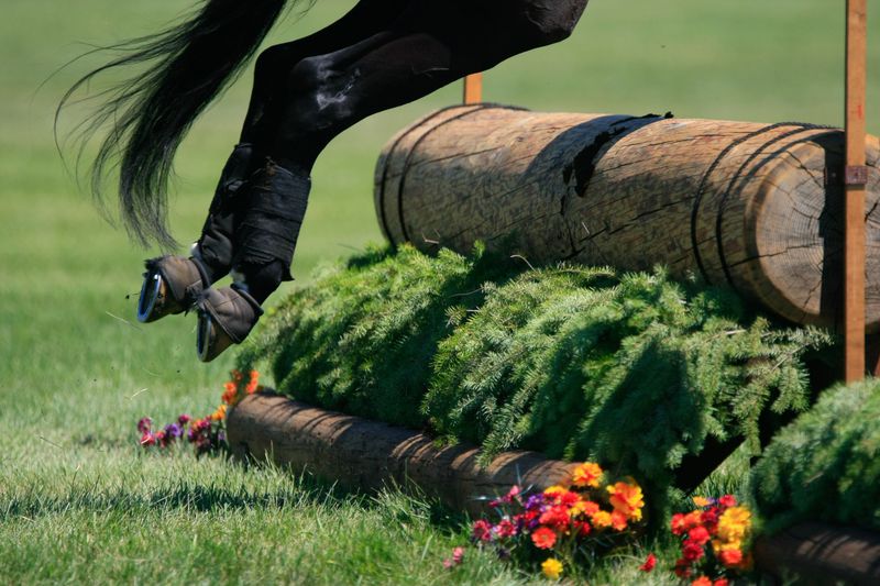 a horse lifts off the ground on a cross country jump.