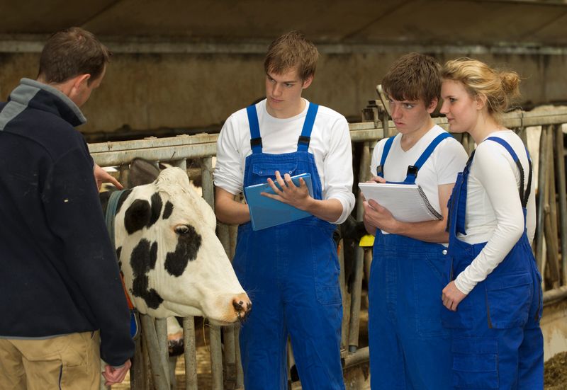 Farmer having agriculture session with young trainees at cattle farm. Horizontal shot.
