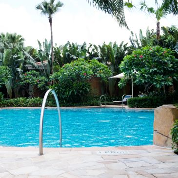 A serene swimming pool surrounded by lush tropical plants and palm trees.