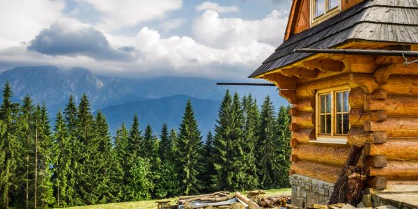 Log cabin in mountainous forest landscape.