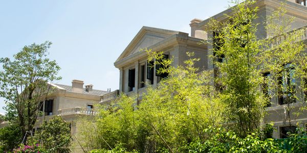 Large stone mansion surrounded by greenery under clear sky.