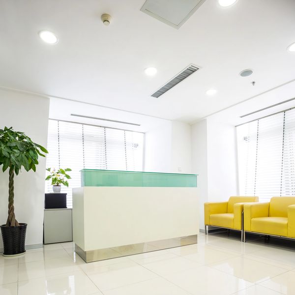 Recepción moderna con mobiliario amarillo y planta.