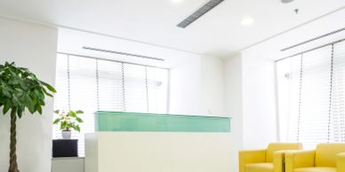 Bright, modern reception area with yellow chairs and potted plants.