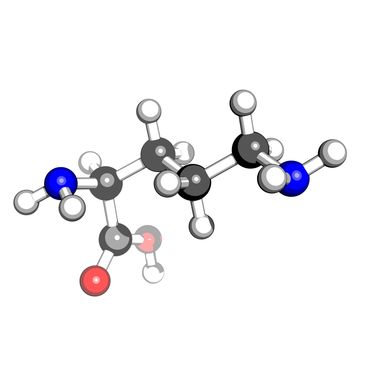 Bioglutide
