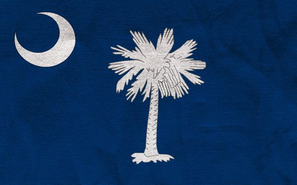 Blue flag with white crescent and palmetto tree.