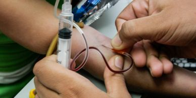 Close-up of a blood draw procedure on a person's arm.