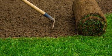 Rolled sod and a rake on soil for lawn installation.