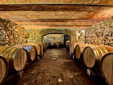 A rustic wine cellar with wooden barrels lined up on both sides.