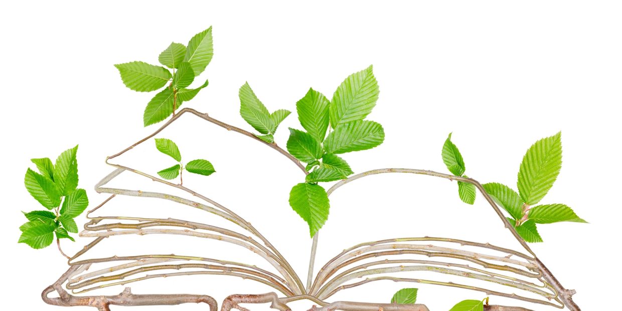 An open book made from intertwined branches and green leaves.