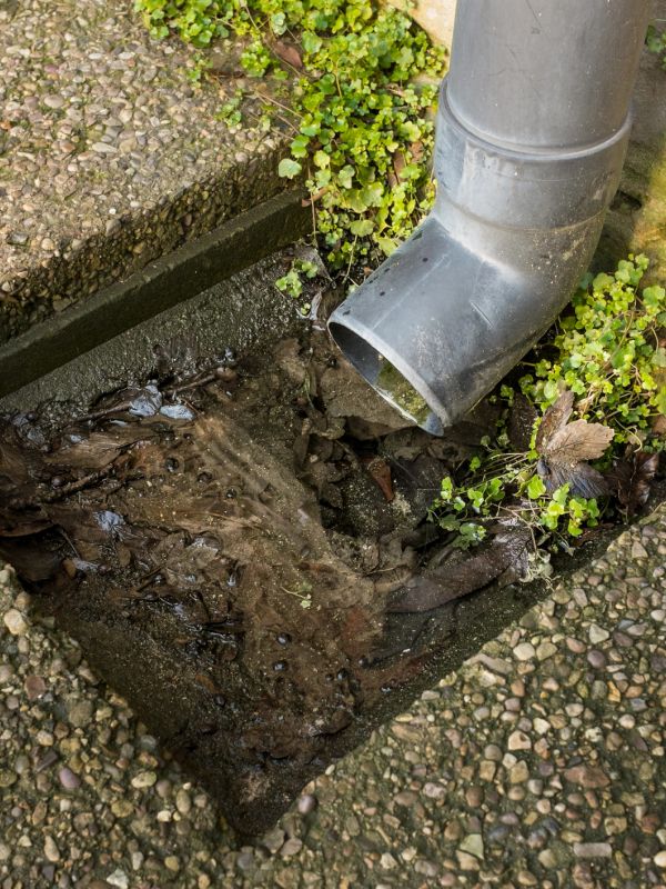 Clogged drain with leaves and debris beneath a gutter.