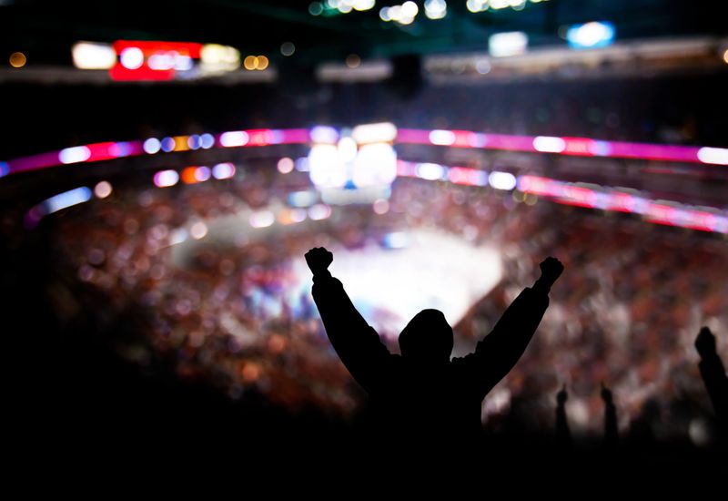 Fans celebrating at a boxing match in a large stadium.