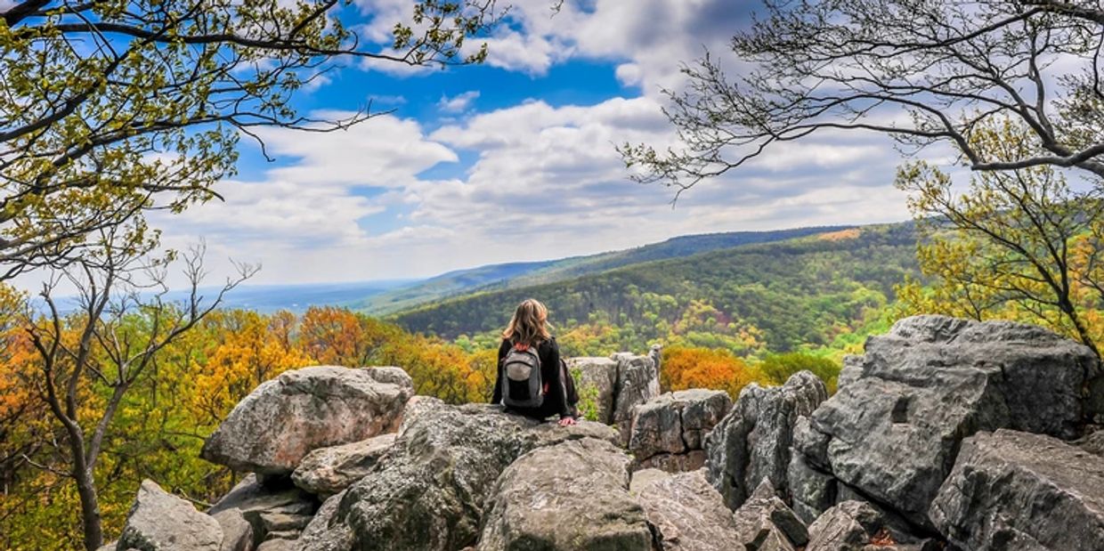 Person enjoying a scenic view from rocky cliffs overlooking a colorful forest.