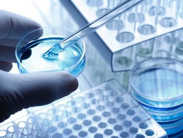 Scientist handling blue liquid with pipette in petri dish.