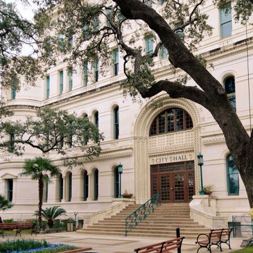 City Hall building entrance framed by trees and benches.