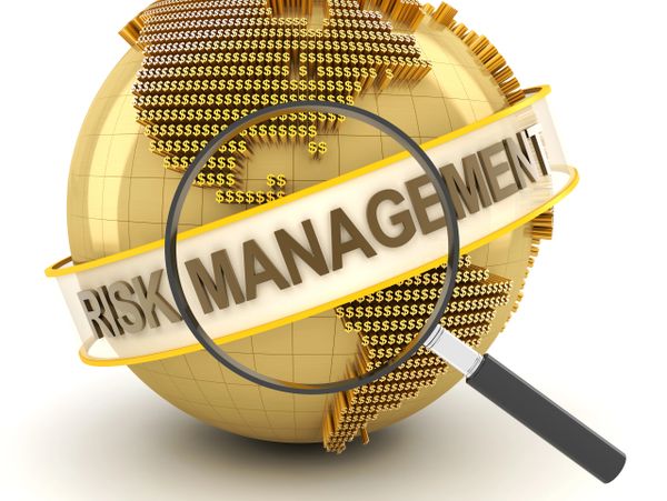 Golden globe with dollar signs and 'Risk Management' magnified by a magnifying glass.