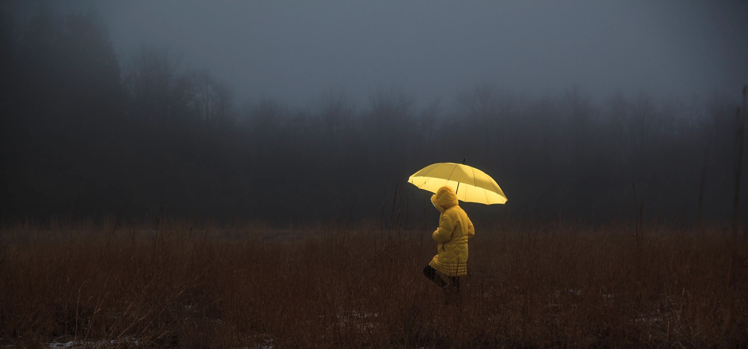 Person in a yellow coat holding a yellow umbrella in a foggy field.