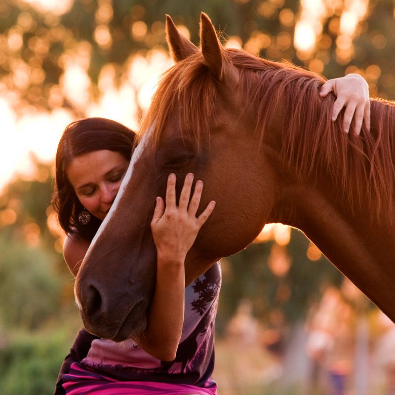 Pretty women is hugging and kissing her handsome horse shortly before sunset. Eyes closed.