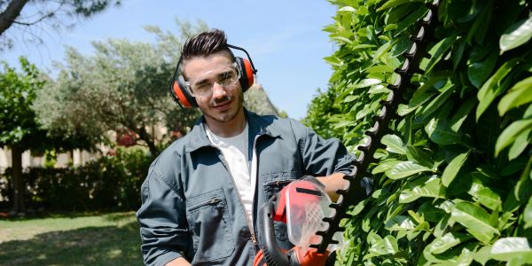 Man trimming a hedge with safety gear.
