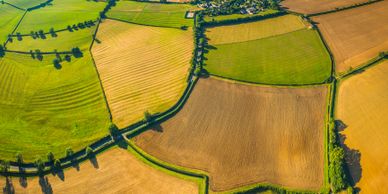 Aerial view of patchwork farmland with fields in various shades of green and brown.