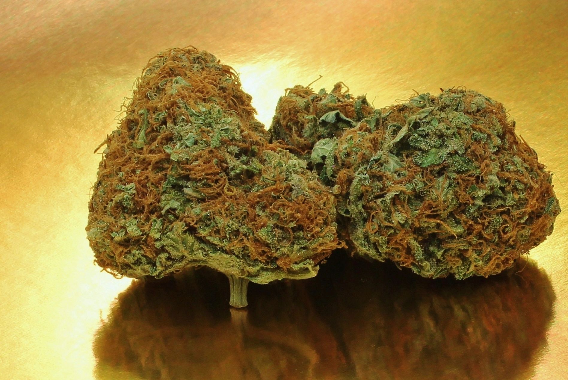 The 661 shop dispensary storefront or retail location in Bakersfield, CA