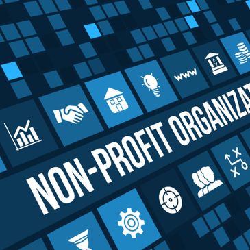 Graphic showing 'Non-Profit Organization' with related icons.