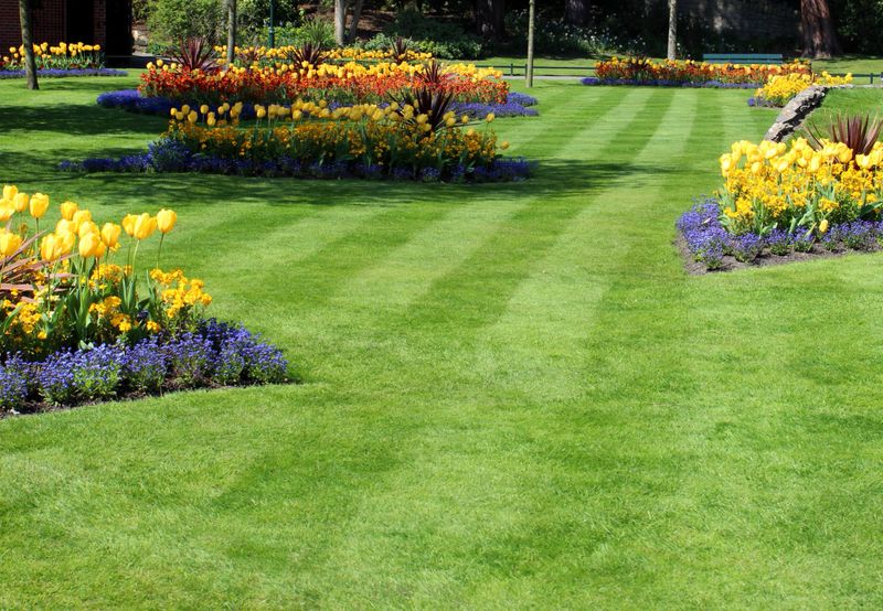 Lush green lawn freshly mowed with flower beds in the background.