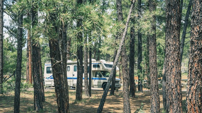 RV Camping into the Woods