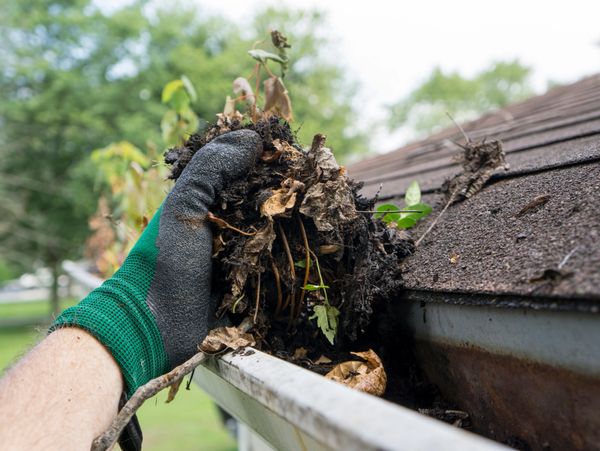 Hand wearing glove cleaning debris from roof gutter.