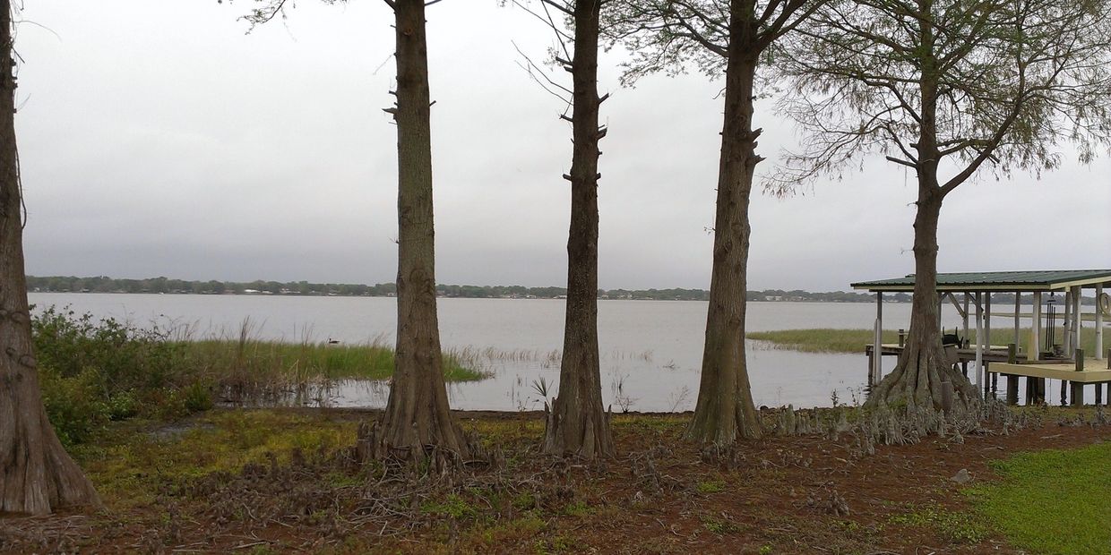 Trees lining a lakeshore with dock and overcast sky.