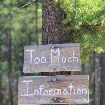 Wooden signs reading 'Too Much Information.'