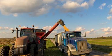 Trucking, Excavation, animal transportation, Dirt and Gravel, Grain hauling.  
