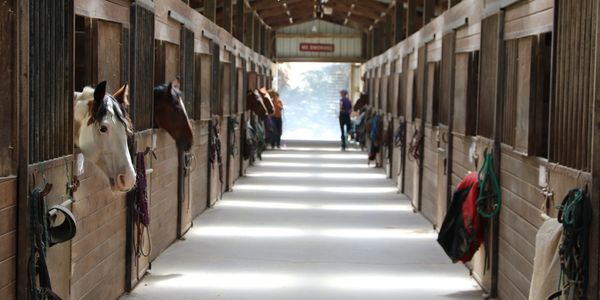 horse barn