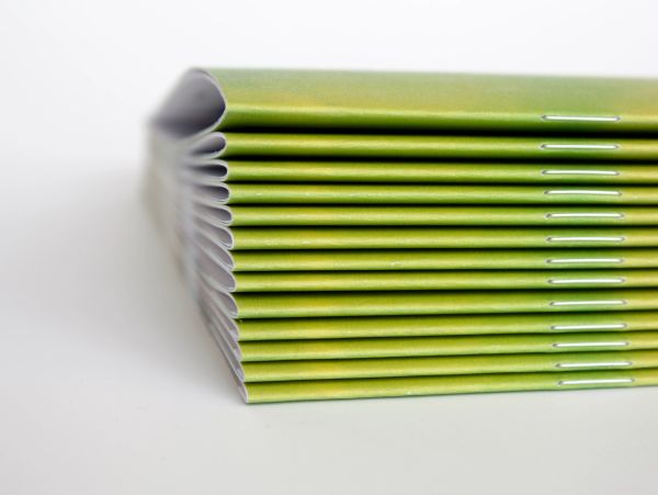Stack of green stapled booklets.