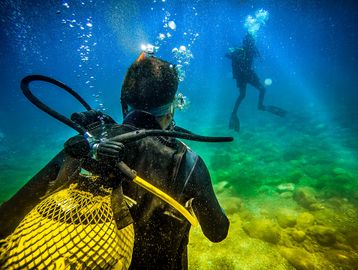 Two scuba divers explore an underwater environment with clear blue water.