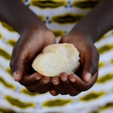 Hands holding a piece of bread against a patterned background.