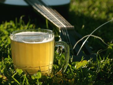 Beer mug on grass with a guitar in the background.