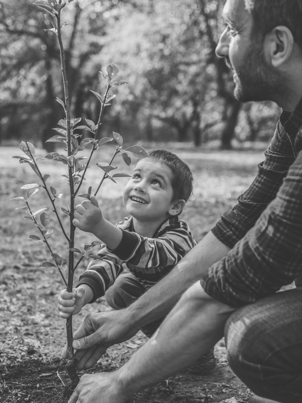 A child and adult planting a young tree together outdoors.