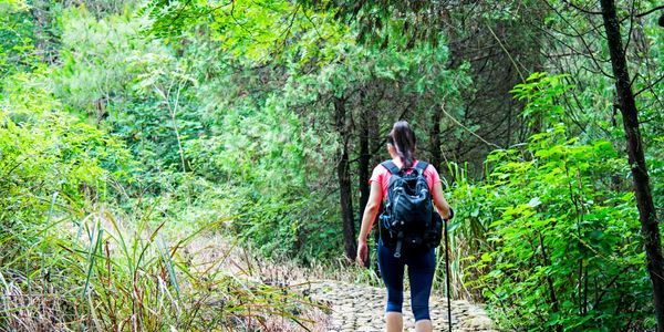 A woman hiking alone on a stone path through a lush green forest.