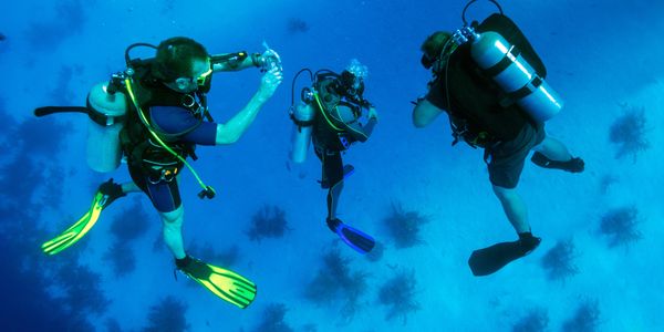 Three scuba divers explore underwater with colorful fins and gear.
