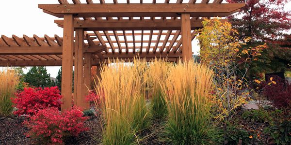 Constructed pergola for your outdoor oasis.