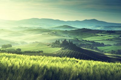 Sunlit rolling hills with lush greenery under a cloudy sky.