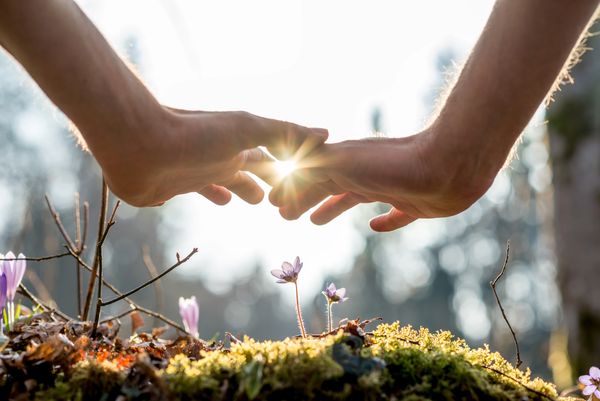 Hands with nature