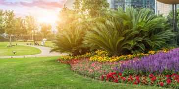 Sunlit park with colorful flower beds and greenery.
