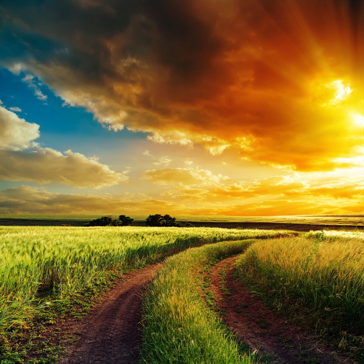 A winding dirt path through green fields under a dramatic sunset sky.