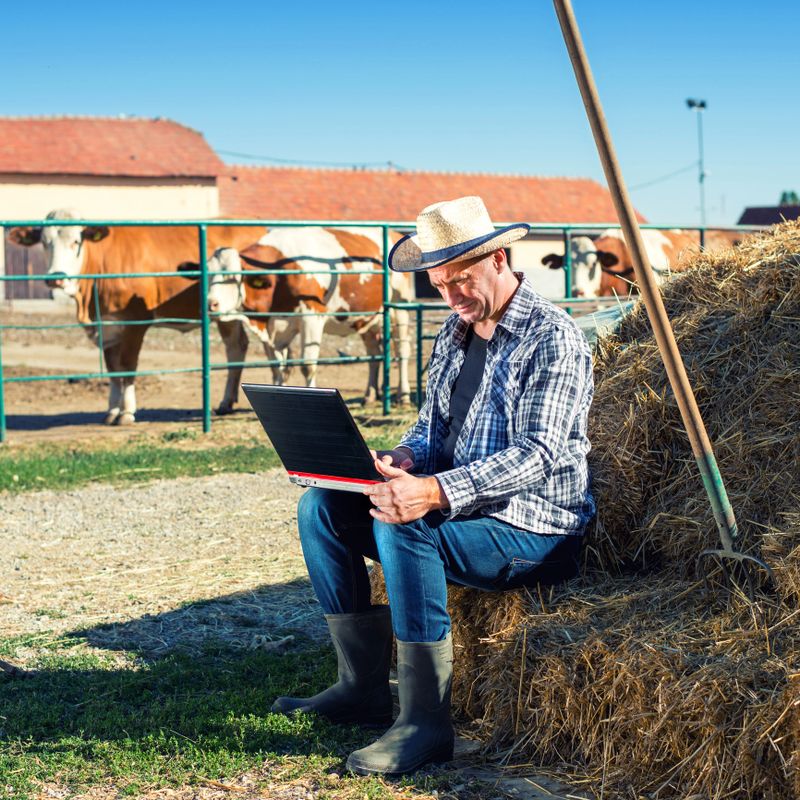 Farmer checking the  market on his laptop computer.